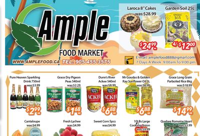 Ample Food Market (Brampton) Flyer June 28 to July 4