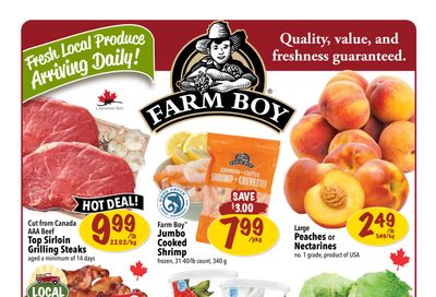 Farm Boy Flyer July 4 to 10