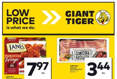 Giant Tiger (Atlantic) Flyer July 10 to 16