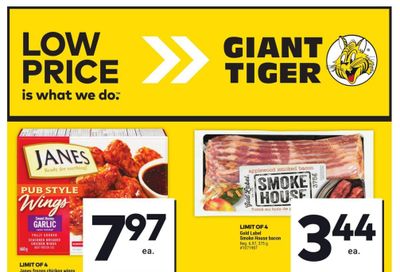 Giant Tiger (West) Flyer July 10 to 16