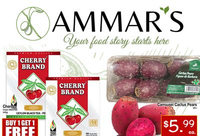 Ammar's Halal Meats Flyer July 11 to 17
