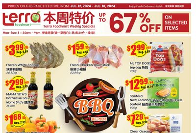 Terra Foodmart Flyer July 12 to 18