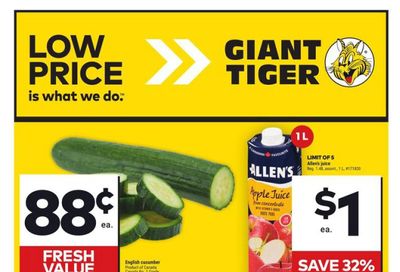 Giant Tiger (Atlantic) Flyer July 17 to 23