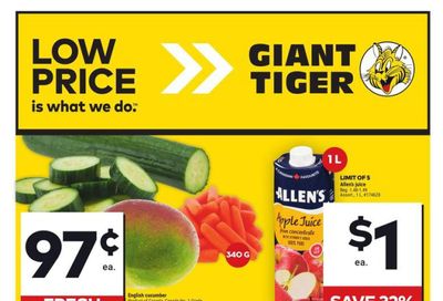 Giant Tiger (West) Flyer July 17 to 23