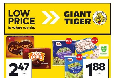 Giant Tiger (ON) Flyer July 24 to 30