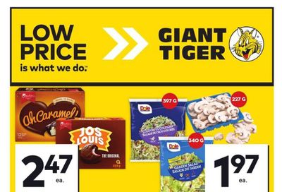 Giant Tiger (Atlantic) Flyer July 24 to 30
