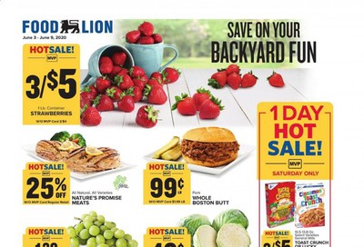 Food Lion Weekly Ad & Flyer June 3 to 9