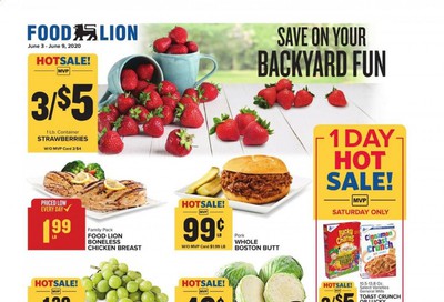 Food Lion Weekly Ad & Flyer June 3 to 9