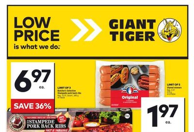 Giant Tiger (ON) Flyer July 31 to August 6