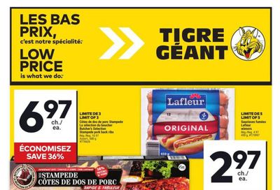 Tigre Géant Flyer July 31 to August 6