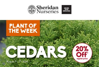 Sheridan Nurseries Flyer August 1 to 7