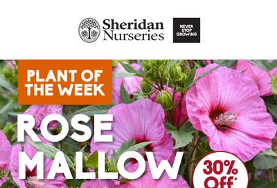 Sheridan Nurseries Flyer August 8 to 14