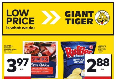 Giant Tiger (Atlantic) Flyer August 14 to 20