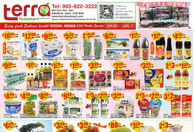 Terra Foodmart Flyer June 5 to 11