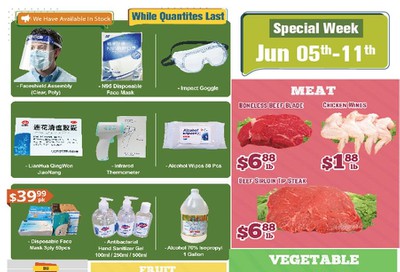 Oceans Fresh Food Market (Brampton) Flyer June 5 to 11