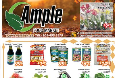 Ample Food Market (Brampton) Flyer August 16 to 22