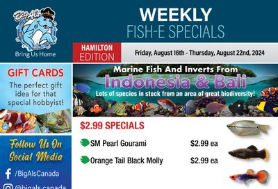 Big Al's (Hamilton) Weekly Specials August 16 to 22