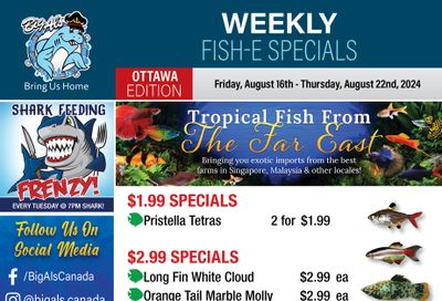 Big Al's (Ottawa) Weekly Specials August 16 to 22