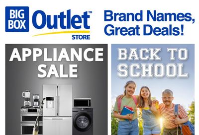 Big Box Outlet Store Flyer August 21 to 27