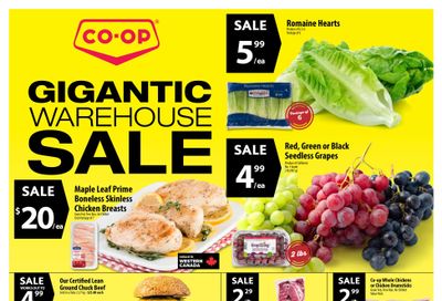 Co-op (West) Food Store Flyer August 22 to 28