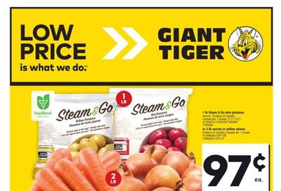 Giant Tiger (ON) Flyer September 4 to 10