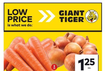 Giant Tiger (West) Flyer September 4 to 10