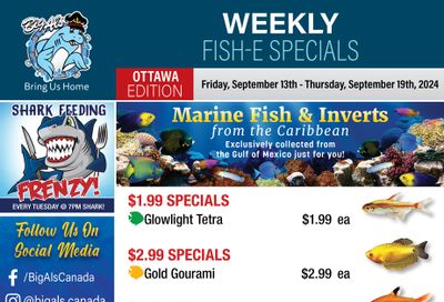 Big Al's (Ottawa) Weekly Specials September 13 to 19