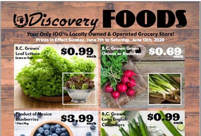 Discovery Foods Flyer June 7 to 13