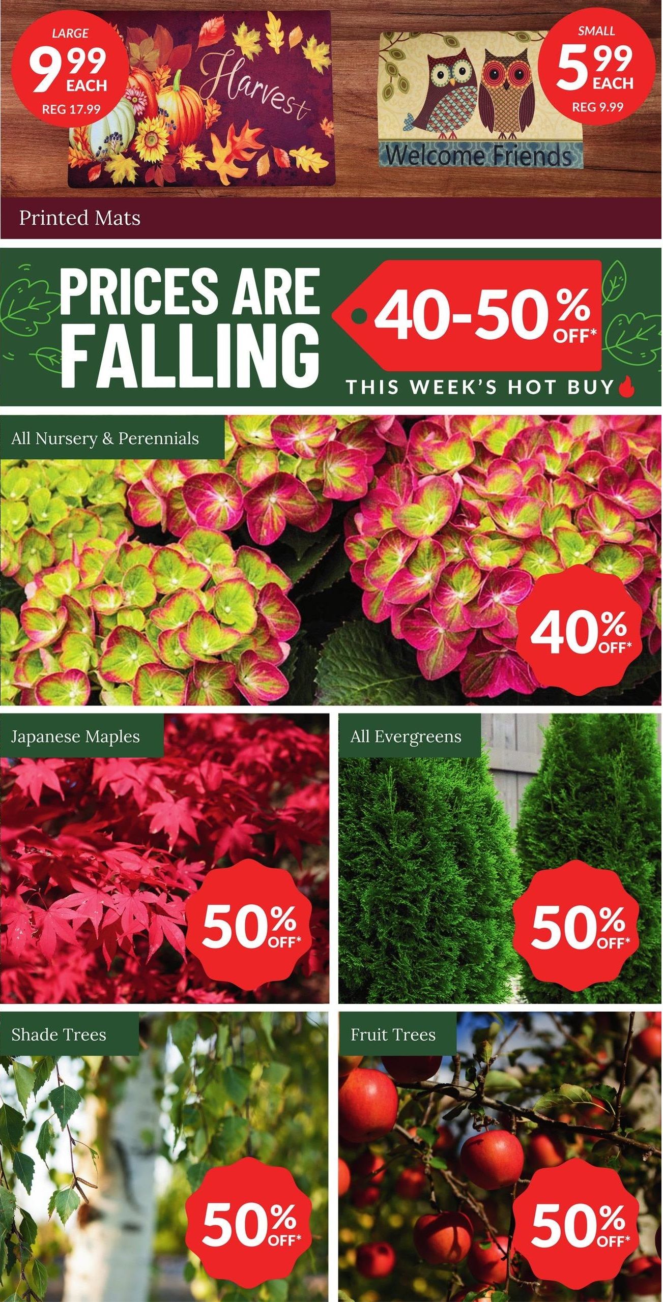 Lakeside Garden Gallery Flyer October 4 to 10