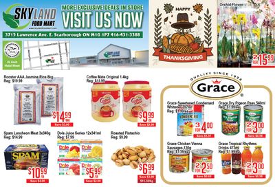 Skyland Food Mart Flyer October 11 to 17