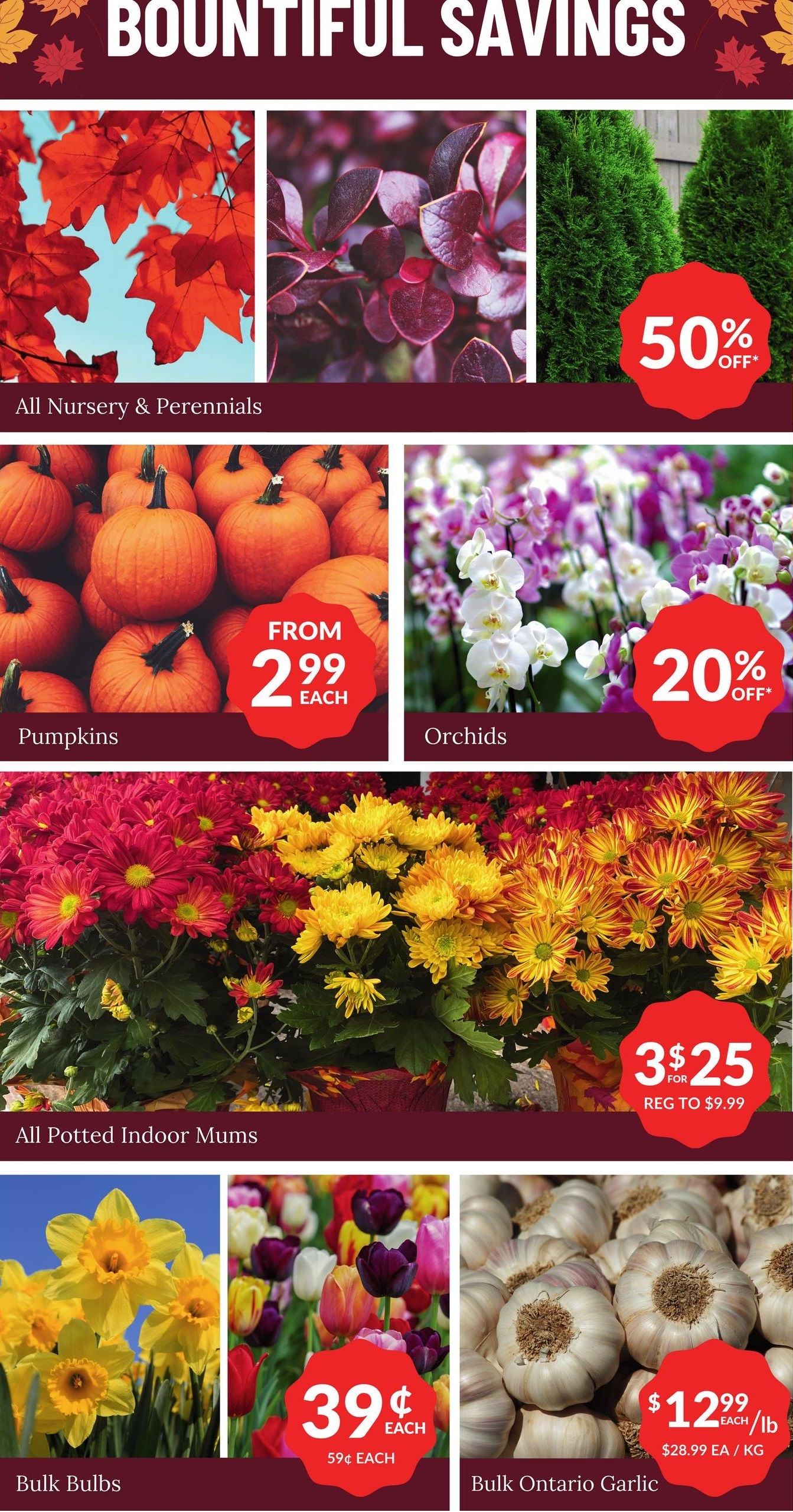 Lakeside Garden Gallery Flyer October 11 to 17