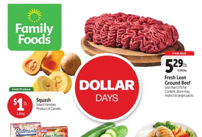 Family Foods Flyer October 17 to 23