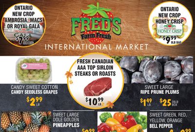 Fred's Farm Fresh Flyer October 16 to 22