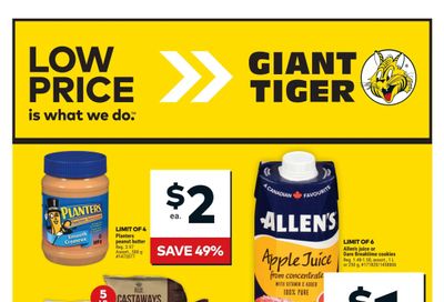 Giant Tiger (ON) Flyer October 30 to November 5