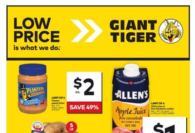 Giant Tiger (Atlantic) Flyer October 30 to November 5