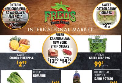 Fred's Farm Fresh Flyer October 30 to November 5