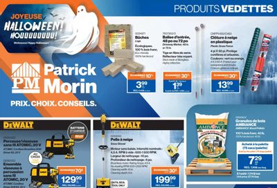 Patrick Morin Flyer October 31 to November 13