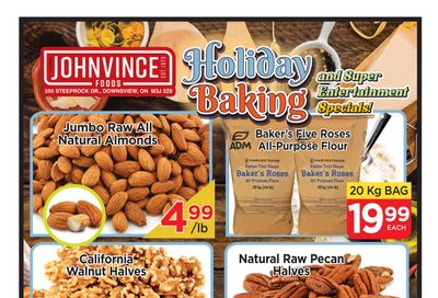 Johnvince Foods Flyer November 2 to 15