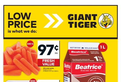 Giant Tiger (ON) Flyer November 6 to 12