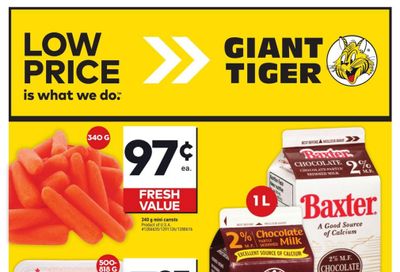 Giant Tiger (Atlantic) Flyer November 6 to 12