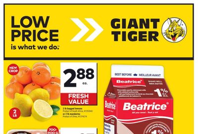 Giant Tiger (West) Flyer November 6 to 12