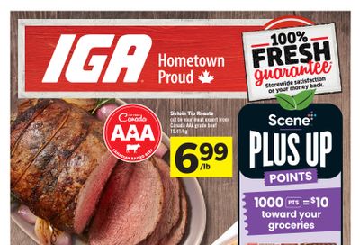 IGA (West) Flyer November 7 to 13