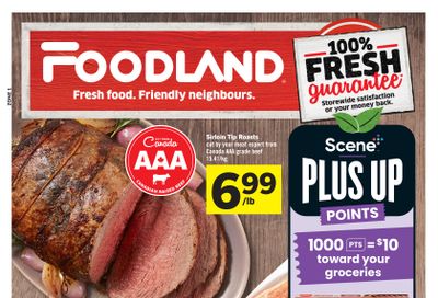 Foodland (ON) Flyer November 7 to 13