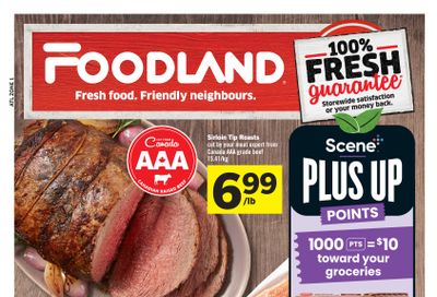 Foodland (Atlantic) Flyer November 7 to 13