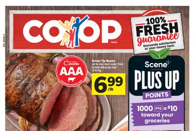 Foodland Co-op Flyer November 7 to 13