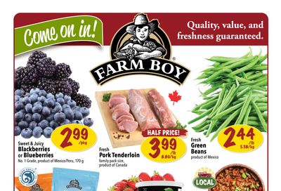 Farm Boy Flyer November 7 to 13