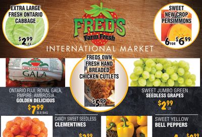 Fred's Farm Fresh Flyer November 6 to 12