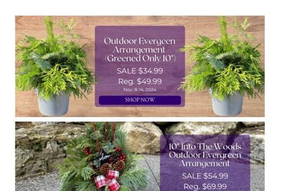 Terra Greenhouses Flyer November 8 to 14