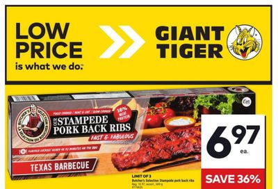 Giant Tiger (Atlantic) Flyer November 13 to 19