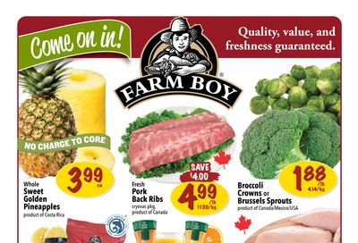 Farm Boy Flyer November 14 to 20